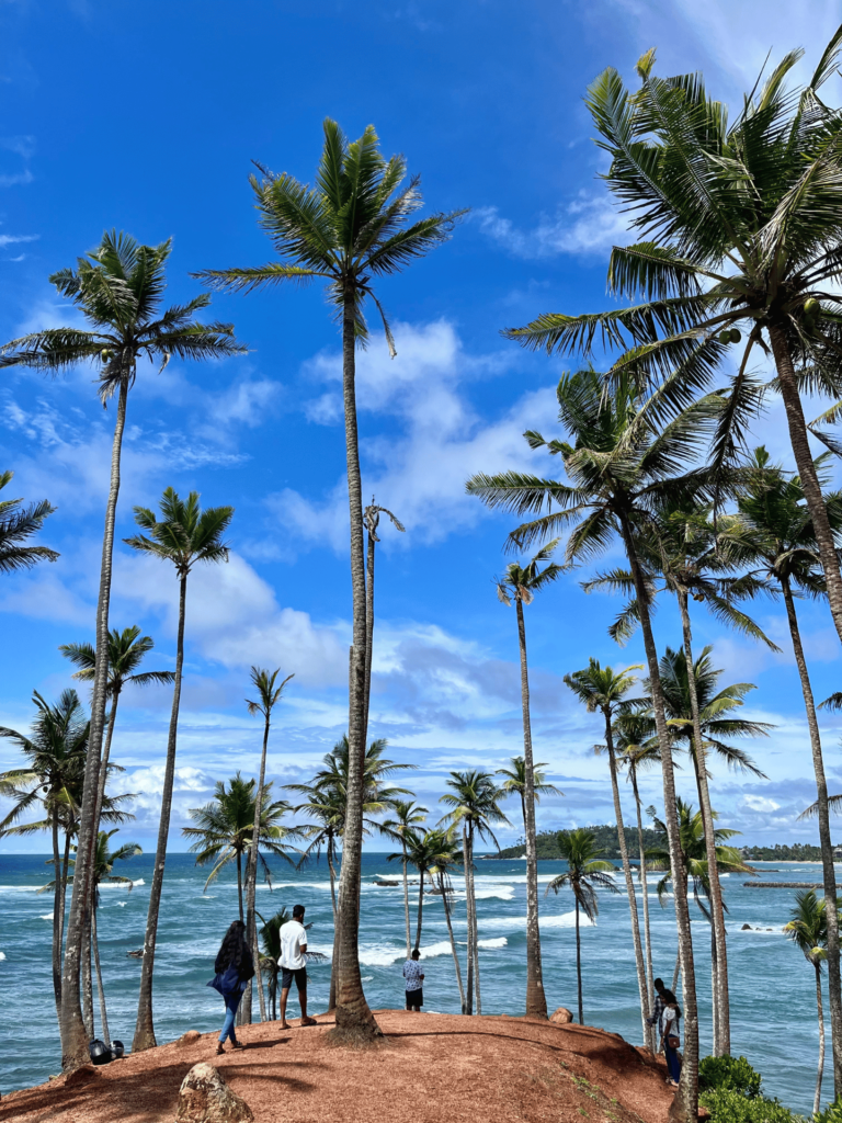 Diseño sin título (15)