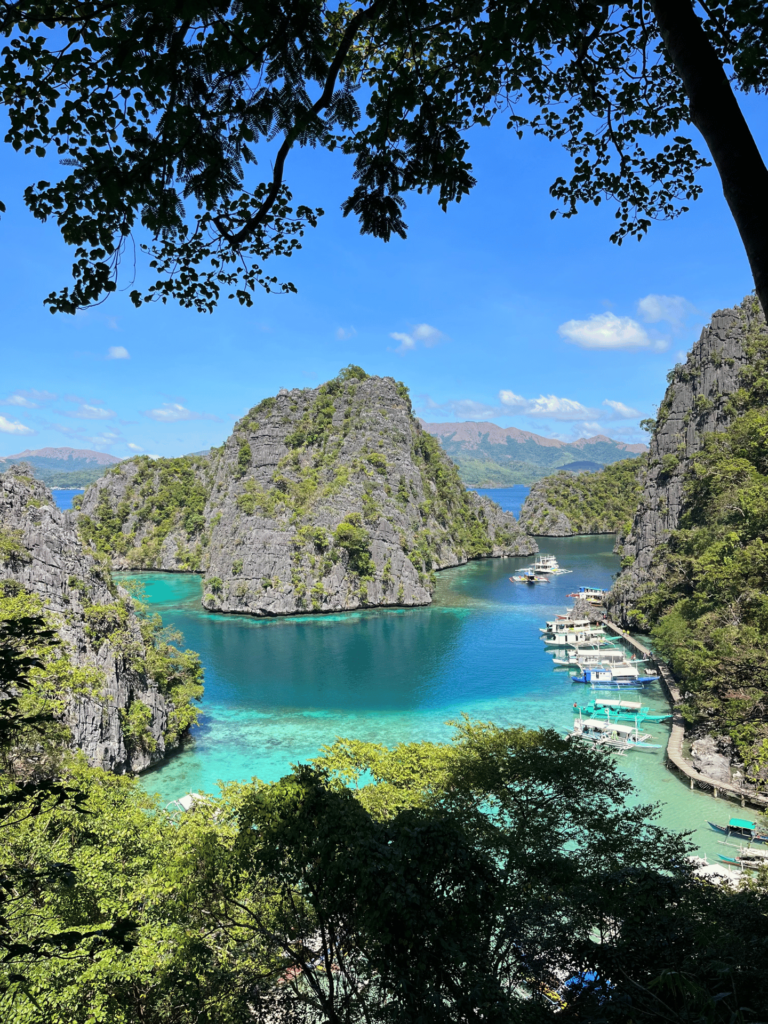 Diseño sin título (16)