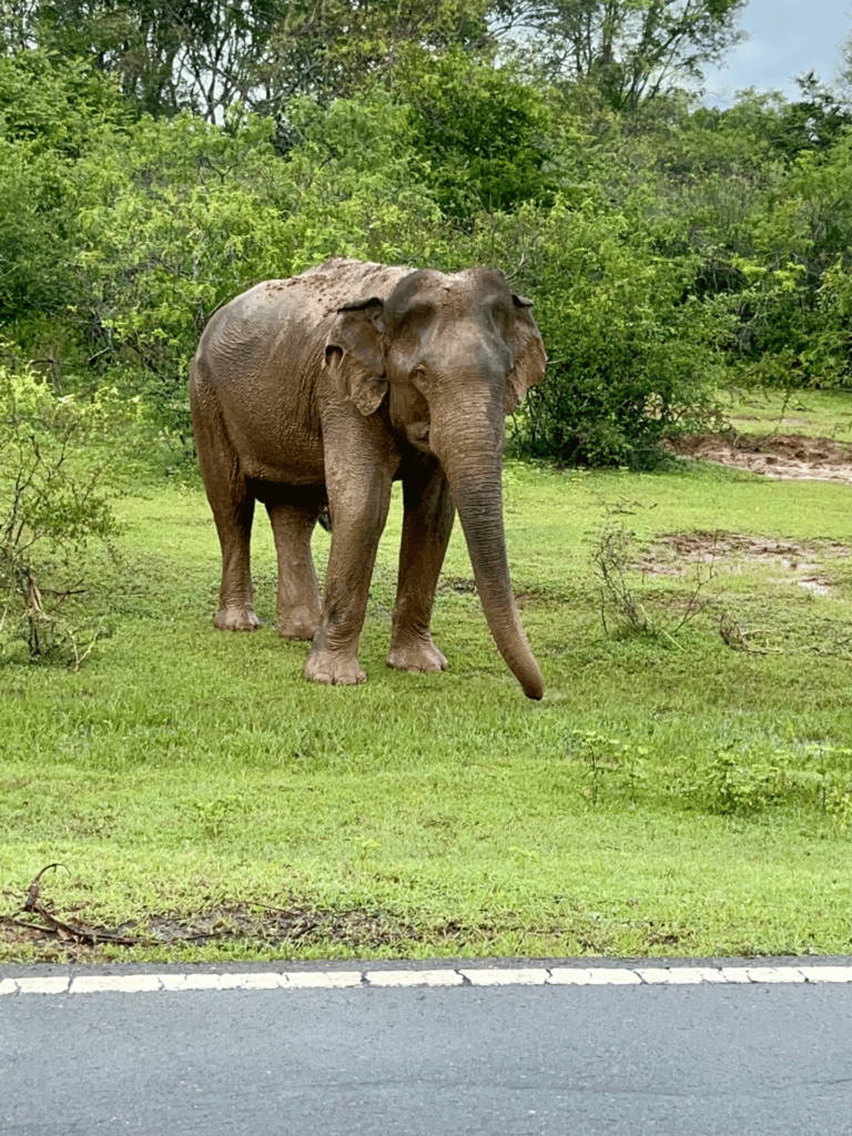 Diseño sin título (17)