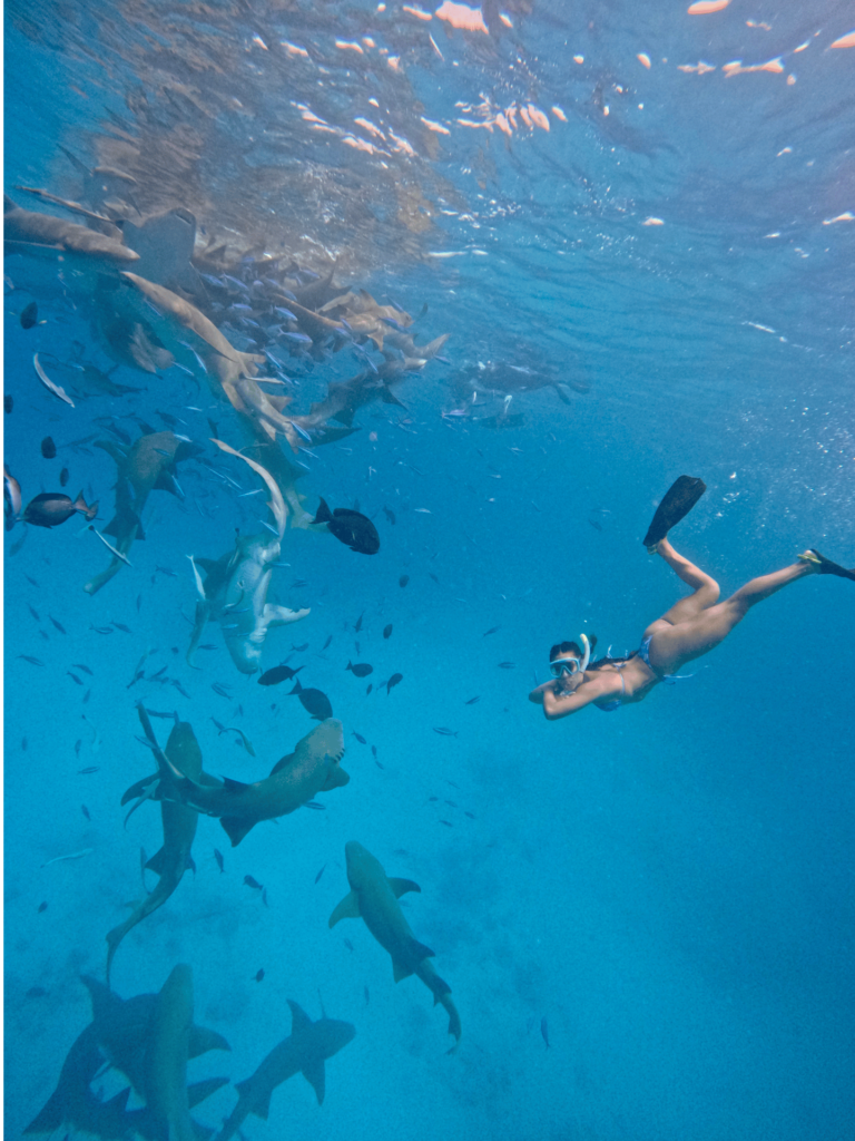 Diseño sin título (21)