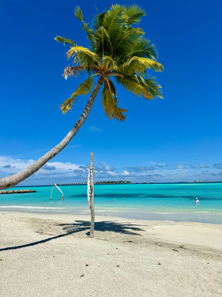 Diseño sin título (4)