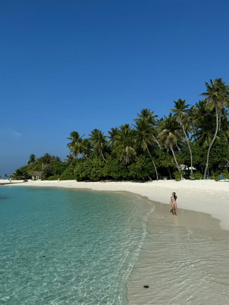 Diseño sin título (8)